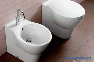 Zamjena WC-a vlastitim rukama - kako zamijeniti toalet