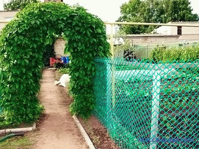 Kako izabrati vrtnu mrežu za ogradu