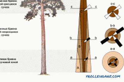 Sortiranje drvne građe: automatizacija procesa