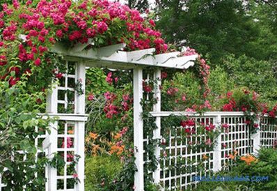 Uradite sami dekorativnu ogradu - pravite ukrasne ograde